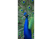 Textilbanner "Pfau mit Rad" blau/grün,...