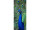 Textilbanner "Pfau mit Rad" blau/grün, 75x180cm, Schlauchnaht oben+unten