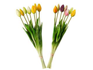 botte de tulipes "Elegance" 7 pcs., L 45cm, diff. couleurs