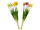 Tulpenbund "Elegance" 7-tlg., L 45cm, versch. Farben