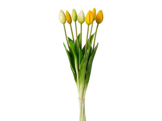 tulip bunch "elegance" 7-pcs., l 45cm, white-yellow