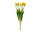 botte de tulipes "Elegance" 7 pcs., l 45cm, blanc-jaune