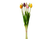 tulip bunch "elegance" 7-pcs., l 45cm, colorful