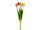 Tulpenbund "Elegance" 7-tlg., L 45cm, bunt gemischt
