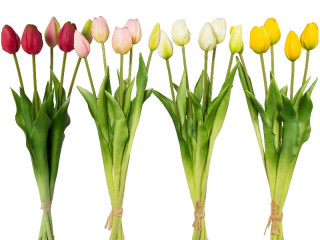 botte de tulipes "Lia" 5 pcs., l 45cm, diff. couleurs