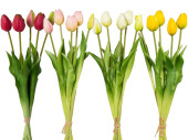 botte de tulipes "Lia" 5 pcs., l 45cm, diff....