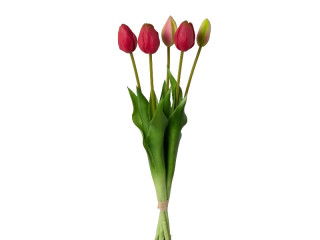 botte de tulipes "Lia" 5 pcs., l 45cm, rouge-rose vif
