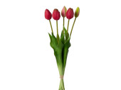 tulip bunch"Lia" 5-pcs., l 45cm, red-pink