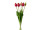 tulip bunch"Lia" 5-pcs., l 45cm, red-pink