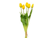 botte de tulipes "Lia" 5 pcs., l 45cm, jaune