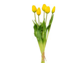 tulip bunch"Lia" 5-pcs., l 45cm, yellow