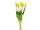 Tulpenbund "Lia" 5-tlg., L 45cm, gelb