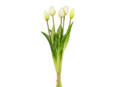 botte de tulipes "Lia" 5 pcs., l 45cm, blanc