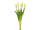 botte de tulipes "Lia" 5 pcs., l 45cm, blanc