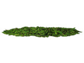 Holz-Baumscheiben 250g, 3 - 5cm, grün