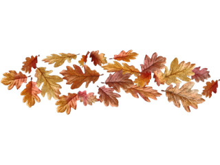 Eichenlaub-Blätter herbstbunt 10/12/14cm, 20 Stück