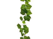 Weinlaubgirlande grün 92 Blätter, L 190cm