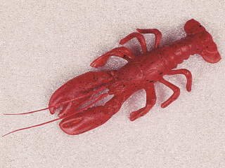 Hummer mittel orange-rot, 30 x 13cm, PVC