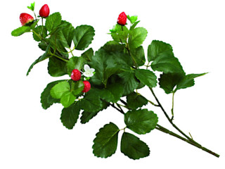 Erdbeerzweig grün/rot L 74cm
