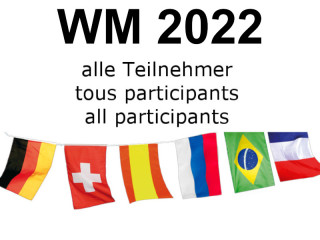 Flaggenkette gross WM 2022 32 Nationen 30 x 45cm L 17m, Polyester