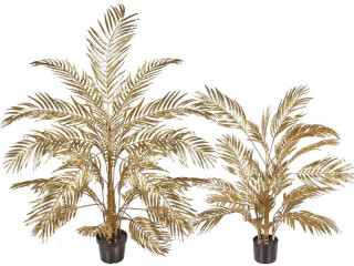 Areca-Palme "Golden" getopft, versch. Grössen