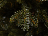 Christmas tree "Canadia" 100% PE, h 220cm, Ø 138cm