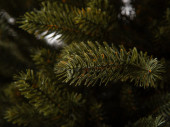 Christmas tree "Canadia" 100% PE, h 220cm, Ø 138cm