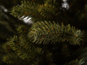 couronne de sapin "Canadia" 100% PE, Ø 50cm
