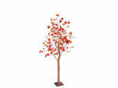 Ahorn-Herbstbaum h 160cm