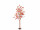 Ahorn-Herbstbaum H 160cm