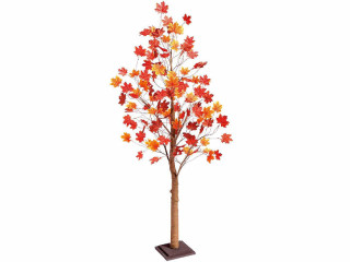 Ahorn-Herbstbaum h 200cm