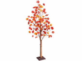 Ahorn-Herbstbaum H 200cm