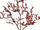Glitter-Zweig rot, L 116cm