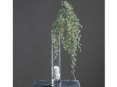 Lärchenzweig beeist, L 97cm