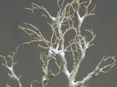 Ast "natural" beschneit L 90cm