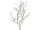 Ast "natural" beschneit L 90cm