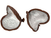 Badam-Hülsen 25 Stück braun/silber, ca. 7 - 10cm