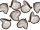 Badam-Hülsen 25 Stück braun/silber, ca. 7 - 10cm