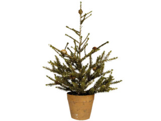 Rottännchen mit Goldglimmer H 60cm, mit Zapfen, getopft
