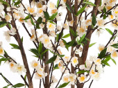 Kirschblütenbaum getopft, creme, H 170cm, 1008 Blüten