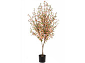 Kirschblütenbaum getopft, rosa, H 170cm, 1008 Blüten