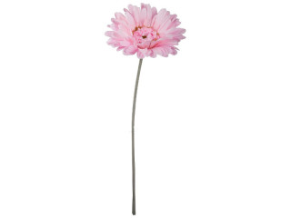 gerbéra XL, h 105cm, fleuraison Ø 30cm, rose