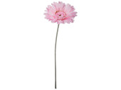 gerbéra XL, h 105cm, fleuraison Ø 30cm, rose