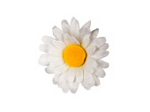 flowerhead "flower", Ø 40cm, with M8...