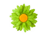 Blütenkopf Flower grün Ø 60cm, mit...
