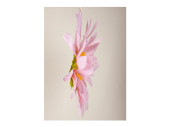 Blütenkopf "Flower", Ø 60cm, mit M8-Mutter, rosa