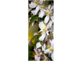 Textilbanner Clematis-Blüten 75x180cm, weiss/bunt...