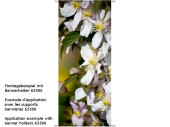 Textilbanner Clematis-Blüten 75x180cm, weiss/bunt...