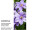 Textilbanner Clematis-Blüten 75x180cm, lavendel/grün Schlauchnaht oben+unten
