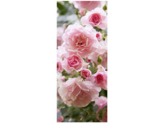 Textilbanner Rosenblüten 75x180cm, rosa/grün Schlauchnaht oben+unten